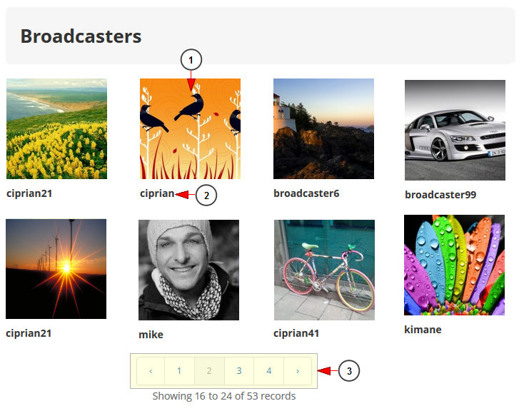 users listing broadcasters 