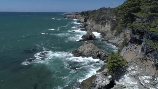 A MOVIE Oceanside Wedding 