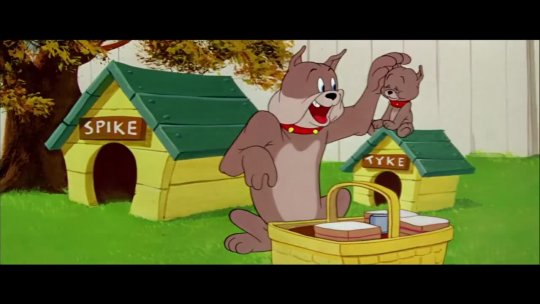 Tom & Jerry Have a Picnic Classic Cartoon Compilation WB Kids