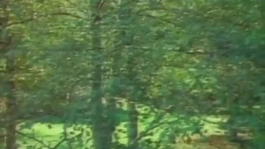 And The Children Shall Lead Full Movie