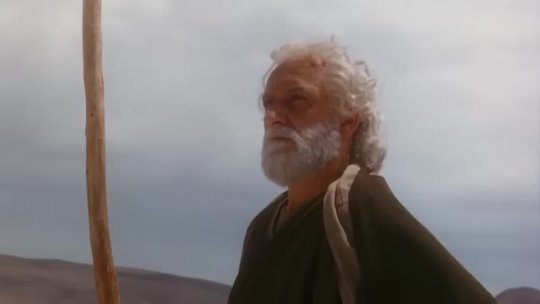 moses 1995