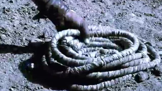 judas 2004 film