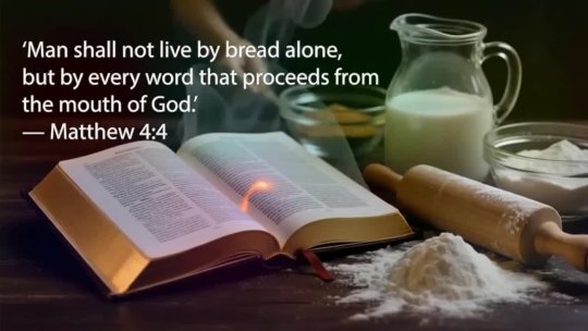 SWEET BAKES 01/08/26