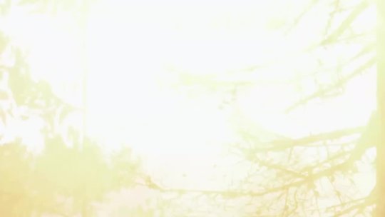 SPIRIT AND TRUTH 02/03/26