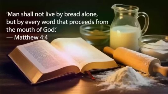 SWEET AND BAKES 02/05/26