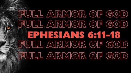 FULL ARMOR Jul 12, 2026 12:56 PM
