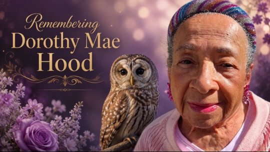 Celebrating the Life of Dorothy Mae Hood